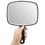 Hand Held Mirror